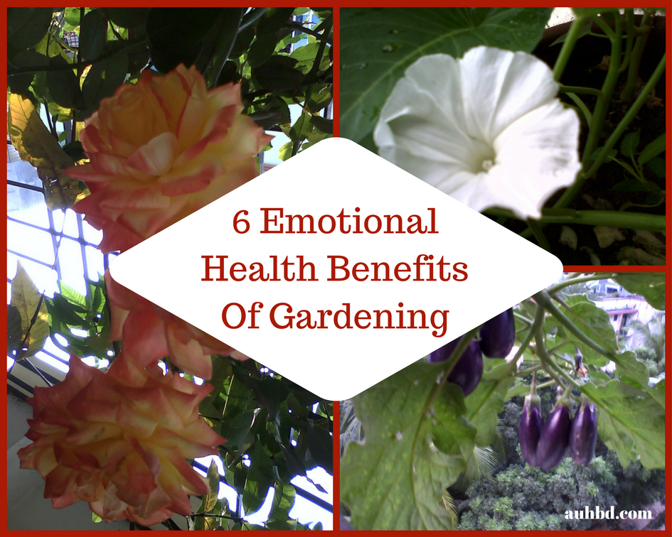 6 Psychological Health Benefits Of Gardening