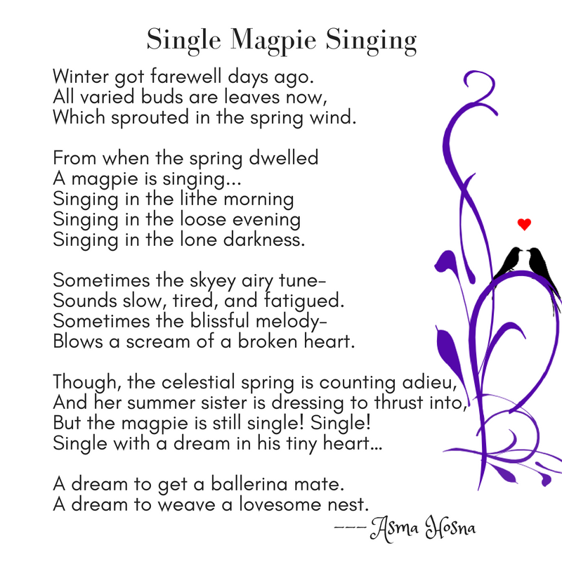 “Single Magpie Singing” by Asma Hosna